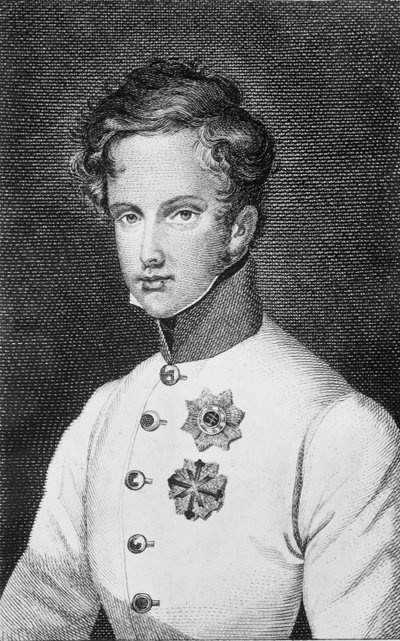 Napoleon II, Francois Charles Joseph Bonaparte, son of Napoleon Bonaparte I, later Duke of Reichstadt by Austrian School